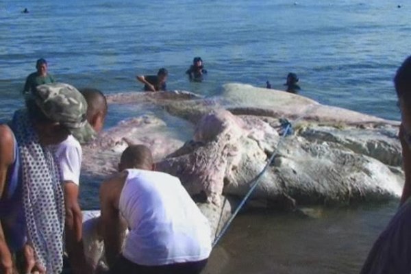 Украли аккаунт на кракене что делать