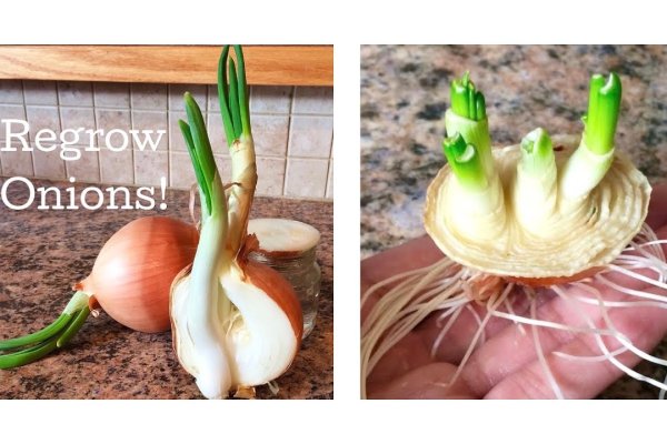 Кракен ссылка bazaonion com