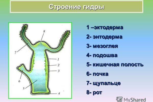 Кракен картель