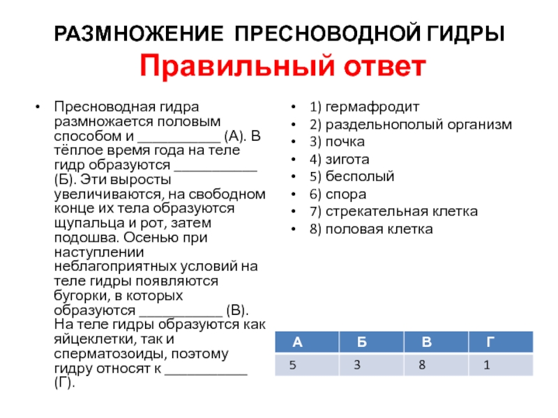 Как зарегистрироваться на кракене